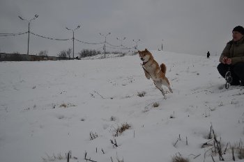 и Рыжая Рика полетела