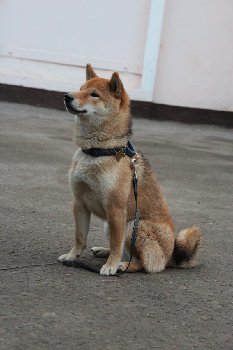 осматриваюсь и вникаю