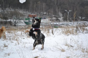 еще много-много раз!