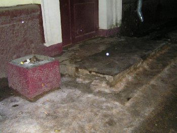 В урну насыпали землю и посадили бархатцы, лишь бы не убирать мусор.