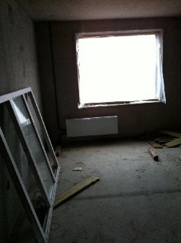 IMG_6737 (Large).JPG