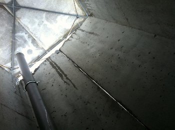 IMG_6767 %28Large%29.JPG