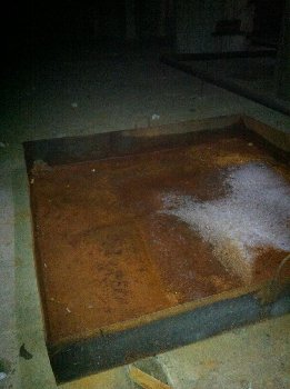 IMG_6716 %28Large%29.JPG