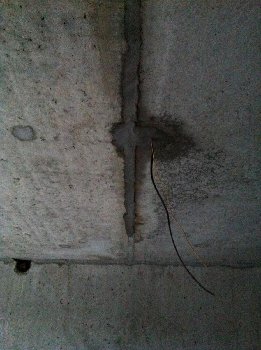 IMG_6708 %28Large%29.JPG