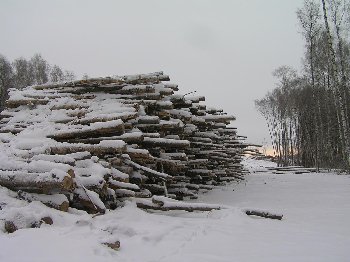 PC314921.JPG