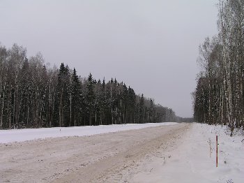 PC314915.JPG