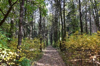 Вид из окон будущих жильцов дома №5.(на этом фото).