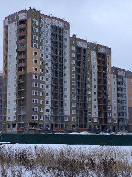 11 дом