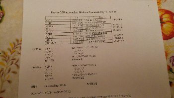 96lfEgRm37Q-1.jpg