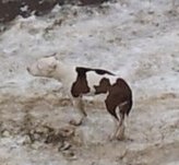 14 января стафф в Быково — копия.jpg