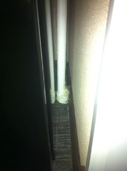 IMG_6977 (Large).JPG