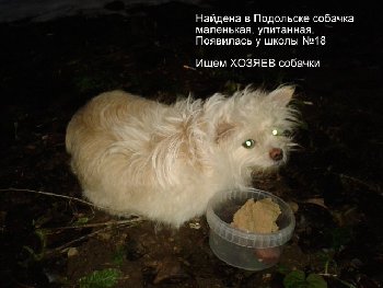 15 января найден болон на ул Свердлова11.jpg