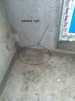 IMG_6991 (Large).JPG