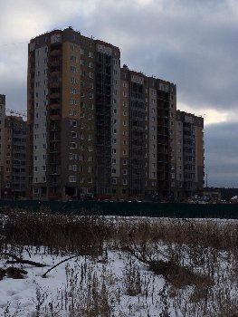 11 дом