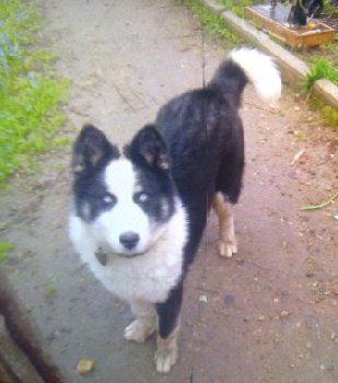 14 января пропал в Кузнечиках1.jpg