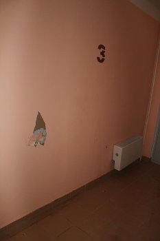 IMG_7186.JPG