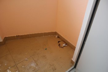 IMG_7192.JPG
