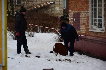 30.01.15 с Сосновой ул.