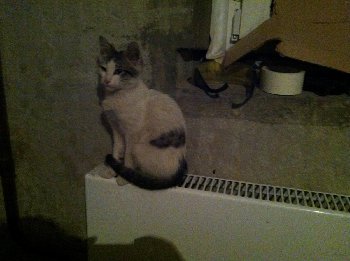 2015-02-06 20-10-06 (Large).JPG