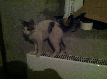 2015-02-06 20-09-56.JPG