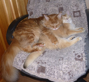 Pair002.jpg