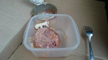 DSC_0121.JPG
