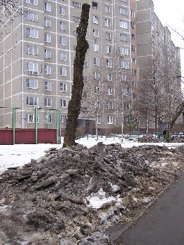 P2210133.JPG
