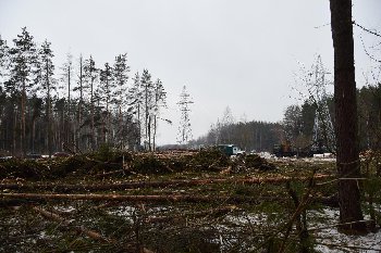 23.02.2015