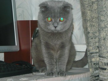 Этот у сестренки.