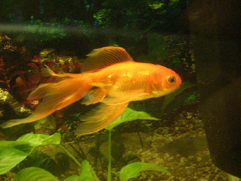 DSCN2653.JPG