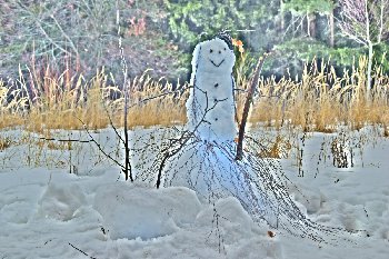 DSC_0300.JPG