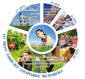 факторы здоровья.jpg
