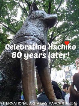 Хатико-Верный друг