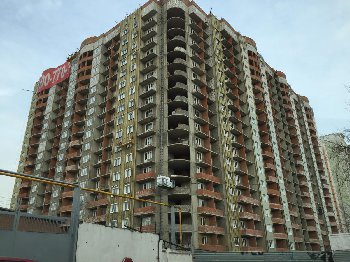 image-8.jpg