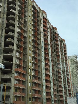 image-10.jpg