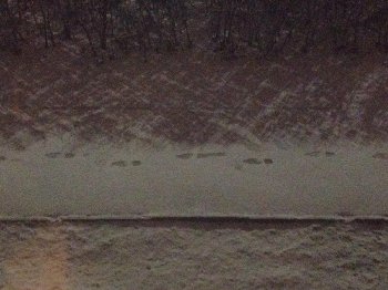 Одиночество в ночи...