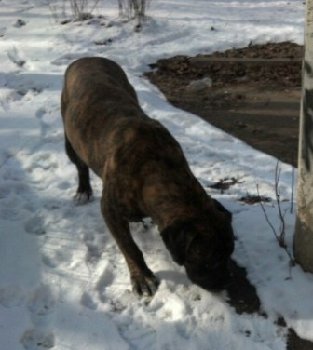 22 марта 2015 стафф2.jpg