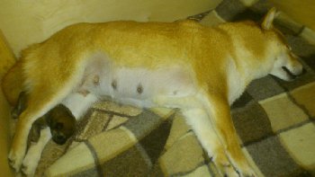 мама и сынок