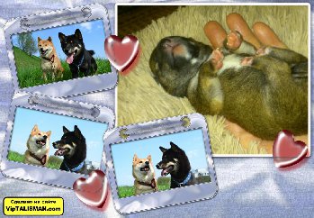 МЫ ПРИШЛИ В МИР и ждем своего Хозяина с большой буквы!