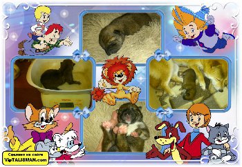 с днем рождения, малыш!