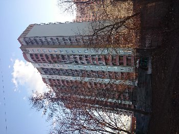 DSC_0688.JPG