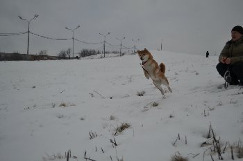 ЛЕТАЮЩАЯ МАМА