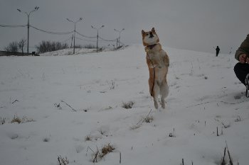 0_e29f7_4bb7fe00_orig.jpg