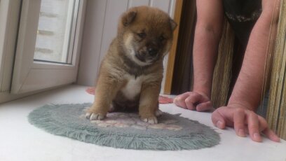 вот ты какой БОЛЬШОЙ МИР!?