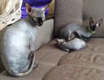family.jpg