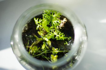 12 апреля. Свежее нет, надо сфоать...