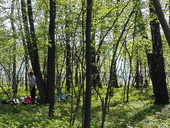 2 костра жгут в Берёзках 10.5.15.jpg