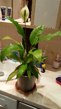 20150511_092854.jpg