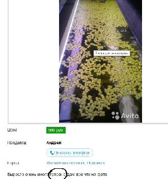 такой бизнесь