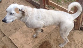 1 — копия.jpg